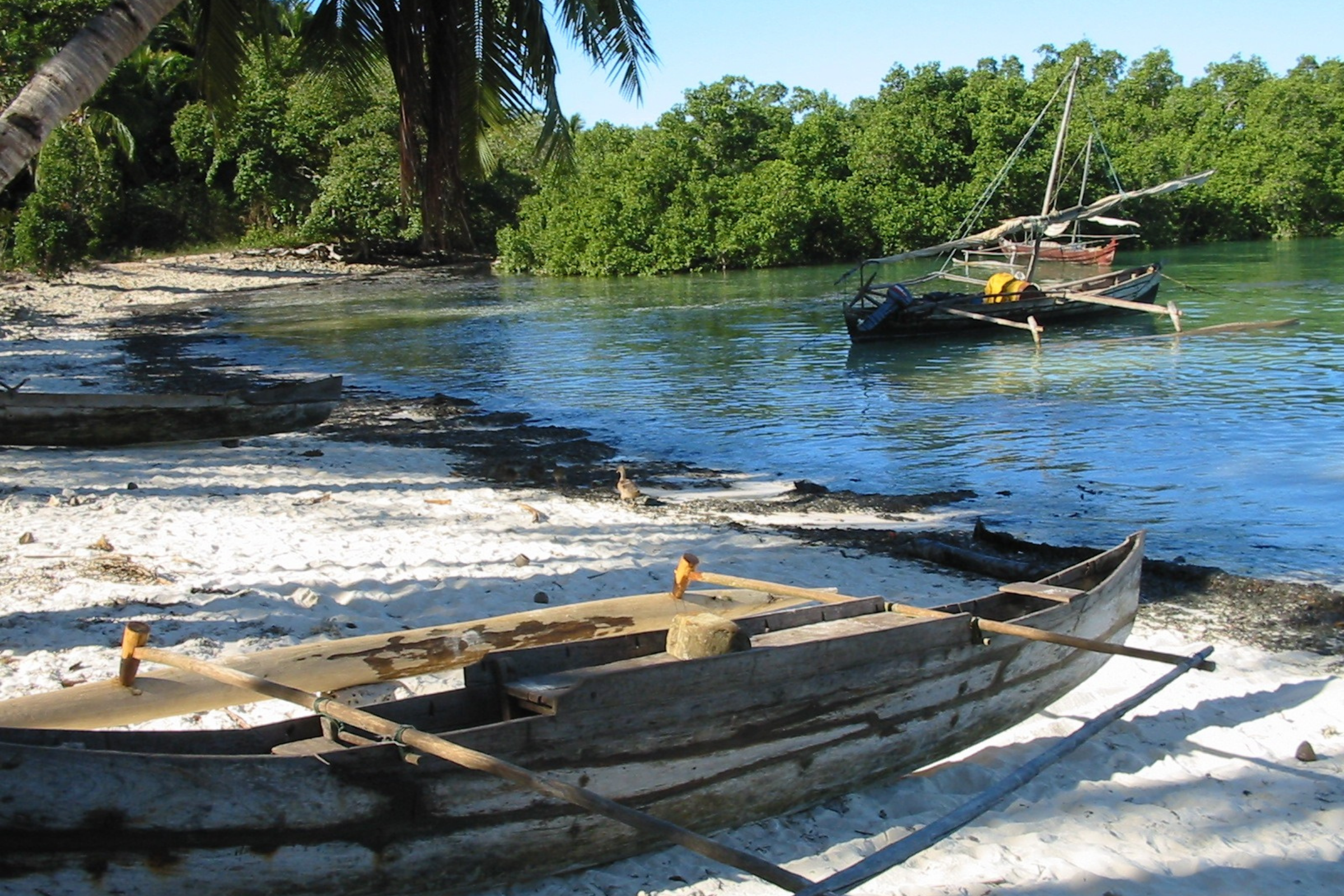 tsingy de bemaraha national park (4).webp